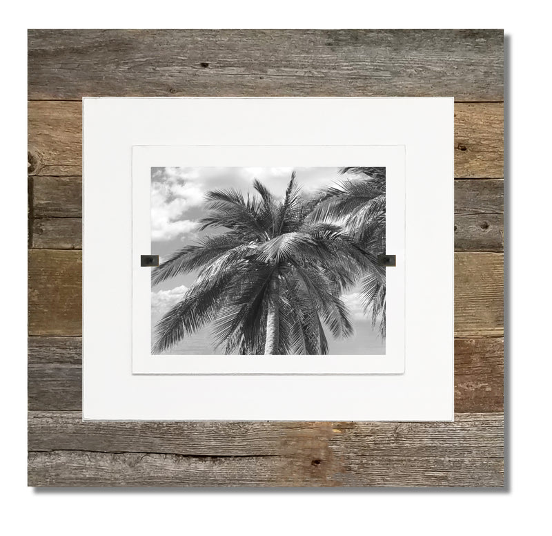 Set of 3 Palm Tree Artwork Rustic Barnwood Frames for Collage Wall Decor for Beach House Wall Decor, Coastal Wall Art, Seaside Wall Art